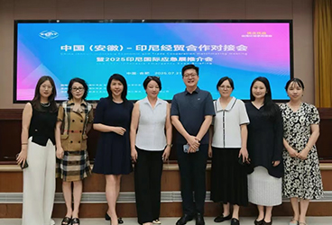 Guohe Global Team Helps China (Anhui)-Indonesia Economic and Trade Cooperation Matching Meeting Behind Successfully